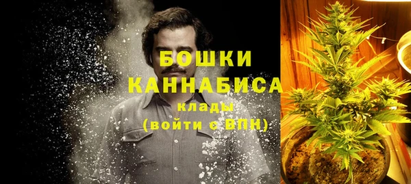 дживик Осинники