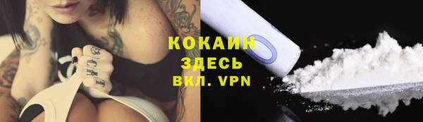 дживик Осинники