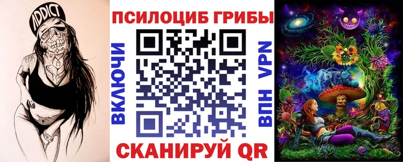 Псилоцибиновые грибы Psilocybine cubensis  Боготол 