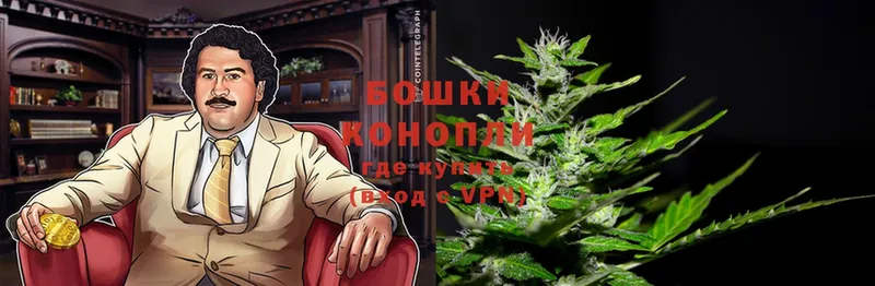 что такое   Боготол  МАРИХУАНА THC 21% 